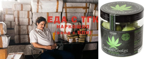 дмт Бородино