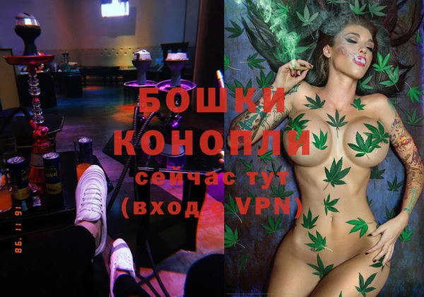 spice Верея