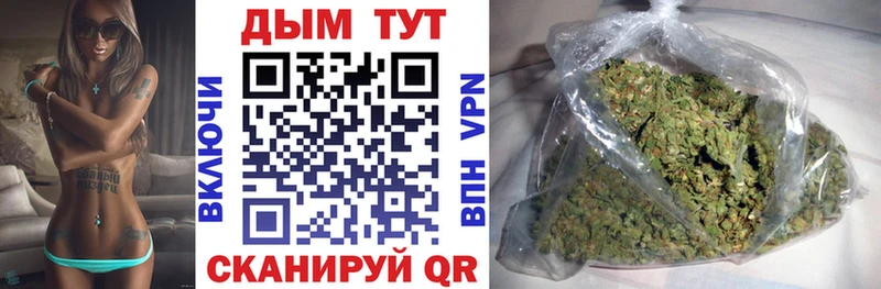 Купить закладки  Тутаев  Марихуана сатива 
